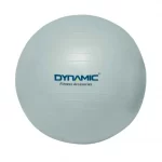 Gym-ball fitness Dynamic (2)